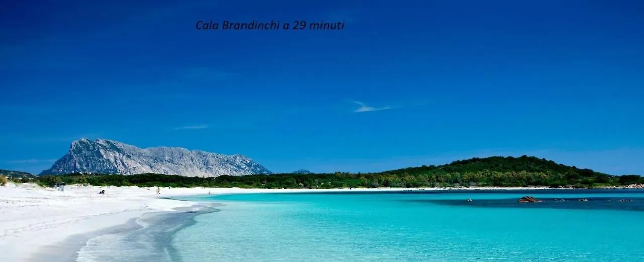 Casa vacanze Appartamento Corallo1 . With Private Garden Olbia